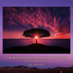 your consciousness matters