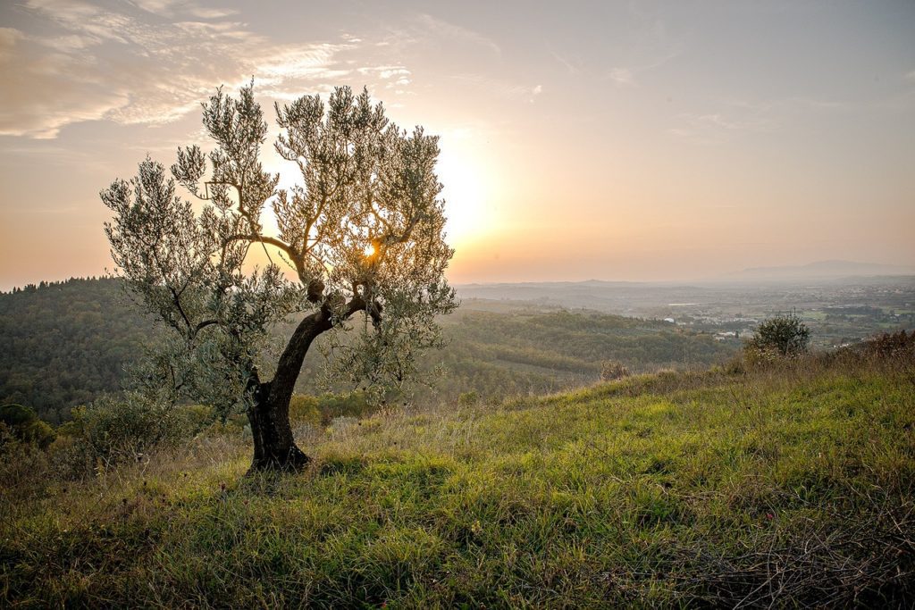 grounding, natural healing, earthing is the answer to many of our medical problems.
