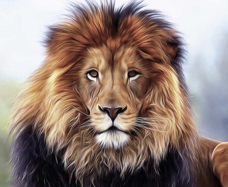 lions gate, spiritual awakening, moving toward change of energies, making changes in our lives