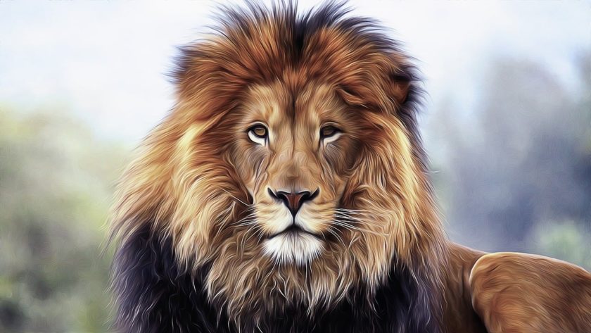 lions gate, spiritual awakening, moving toward change of energies, making changes in our lives